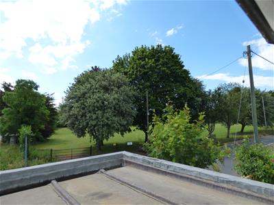 Picture 8
